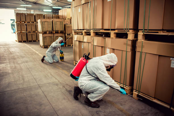Best Termite Control Services  in Centralia, WA