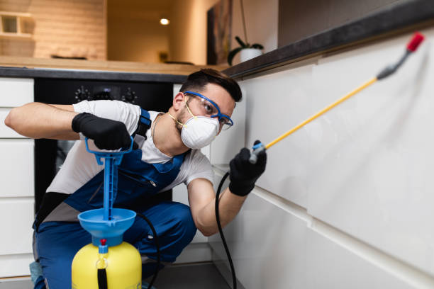 Reliable Centralia, WA Pest Control Solutions