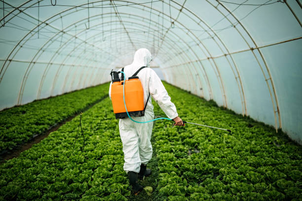 Best Local Pest Control Services  in Centralia, WA