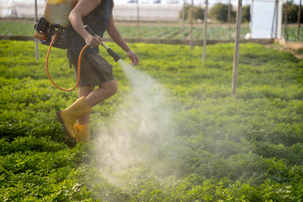 Trusted Centralia, WA Pest Control Experts