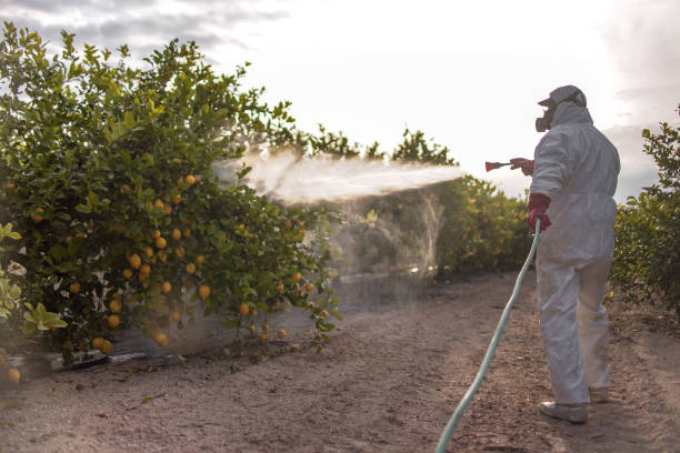 Best Rodent Control Near Me  in Centralia, WA