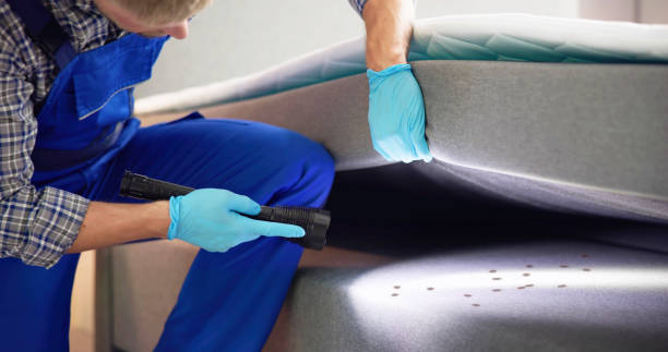 Best Rat Extermination Near Me  in Centralia, WA