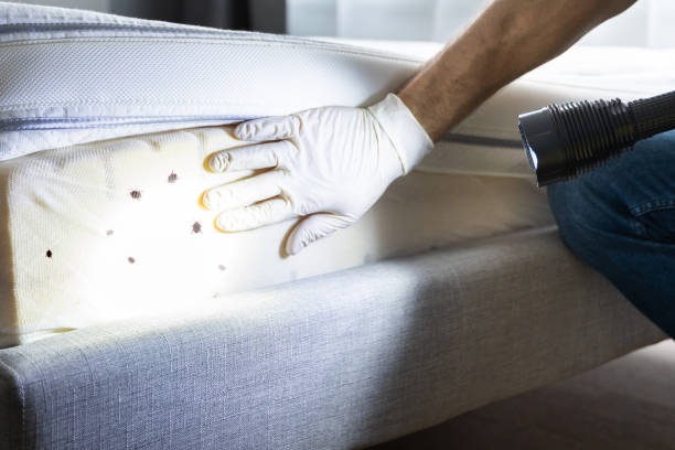 Best Exterminator Services  in Centralia, WA