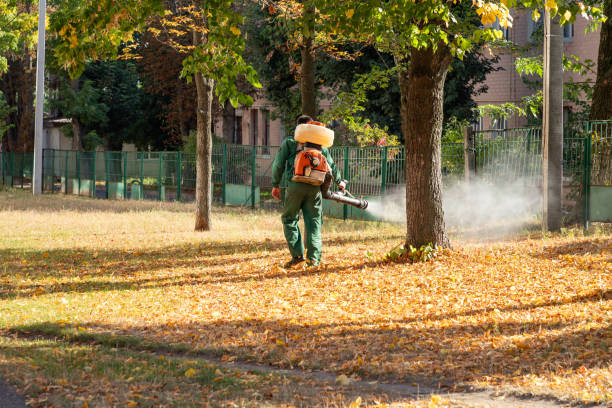 Best Insect Control  in Centralia, WA